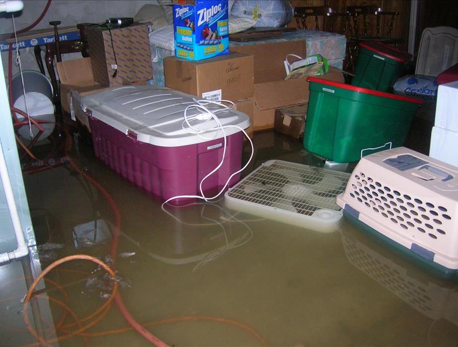 Flooded basement in need of service.