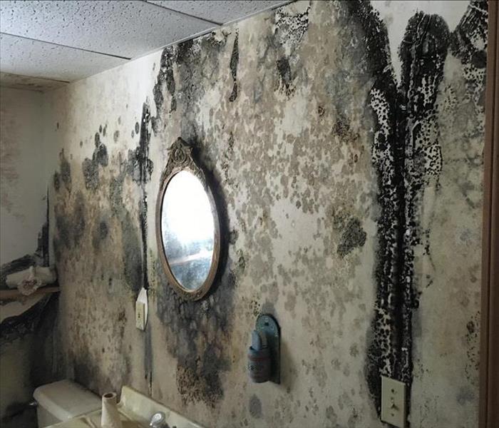 Neglected bathroom wall